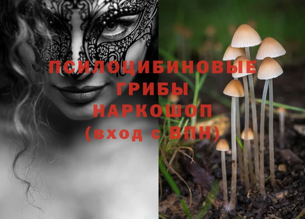 стаф Бугульма