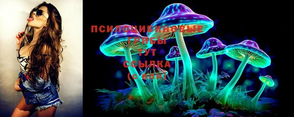 герыч Бронницы