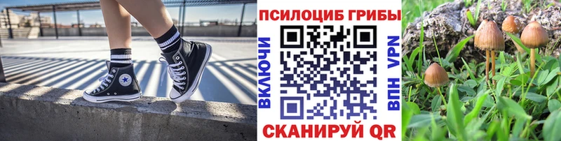 Купить закладки  Суоярви  Галлюциногенные грибы мицелий 
